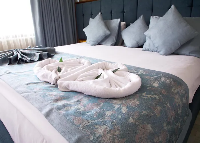 酒店 Avrasya Port 3*